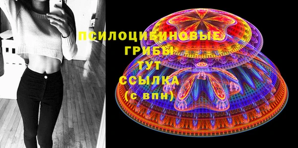 ECSTASY Ладушкин