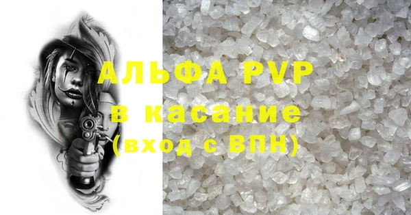 ECSTASY Ладушкин