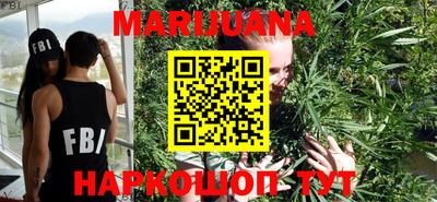 гидропоника Гатчина