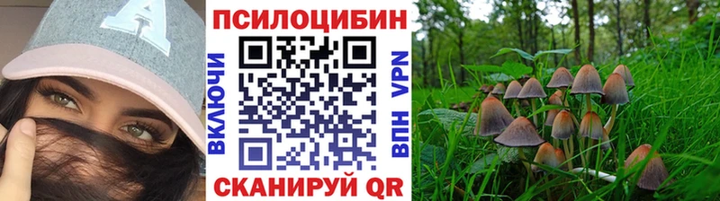 Галлюциногенные грибы ЛСД  Шали 
