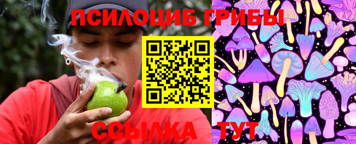 Шали  Галлюциногенные грибы Cubensis  Вход с VPN 