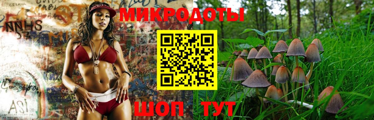 Псилоцибиновые грибы мицелий Шали